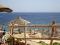 Egypte Sharm Garden Beach 076